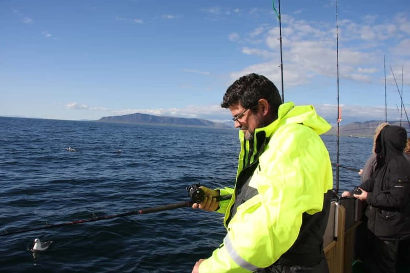 Reykjavik: Traditional Sea Fishing with BBQ Feast - Value for Money and Booking Flexibility