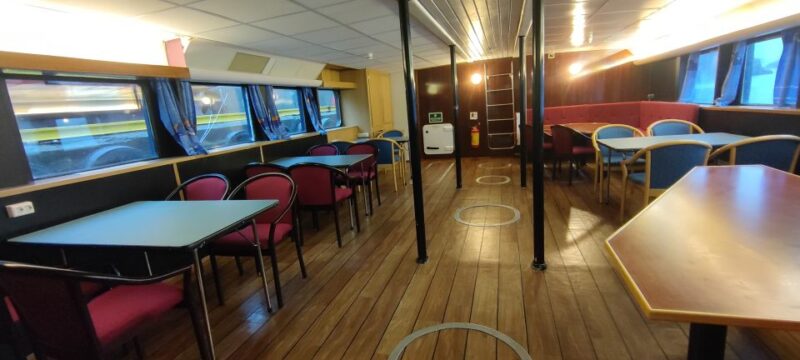 Reykjavik: Whale & Marine Adventure Tour - The Expertise Behind the Tour: Guides and Insights