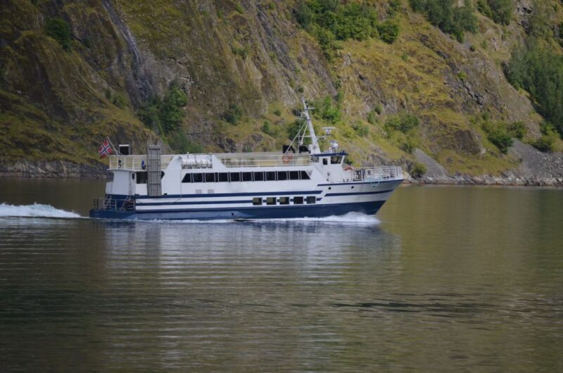 Reykjavik: Whale & Marine Adventure Tour - Accessibility and Additional Comforts