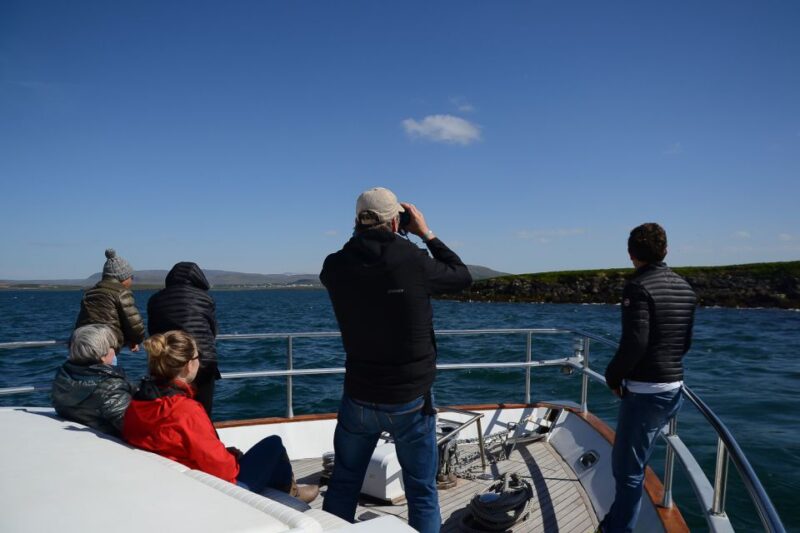 Reykjavik: Whale Watching and Dolphin Watching Yacht Cruise - The Sum Up: A Solid Choice for Wildlife Enthusiasts