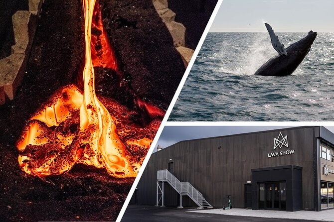 Reykjavik Whale Watching and Lava Show - Adjusting for Comfort and Preparation