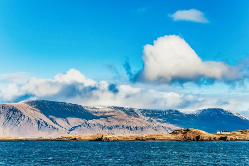 Reykjavík: Whale Watching and Marine Life Cruise - Starting Point at Reykjavíks Old Harbour