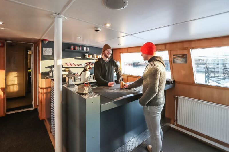 Reykjavík: Whale Watching and Marine Life Cruise - The Importance of Weather Conditions and Timing