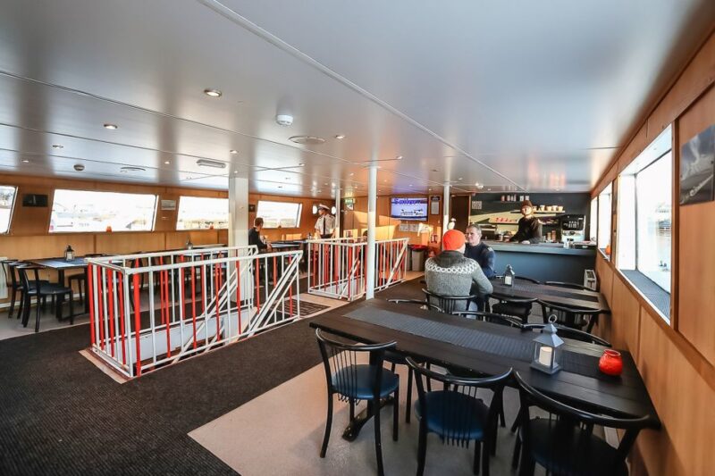 Reykjavík: Whale Watching and Marine Life Cruise - Value for Money and Booking Flexibility