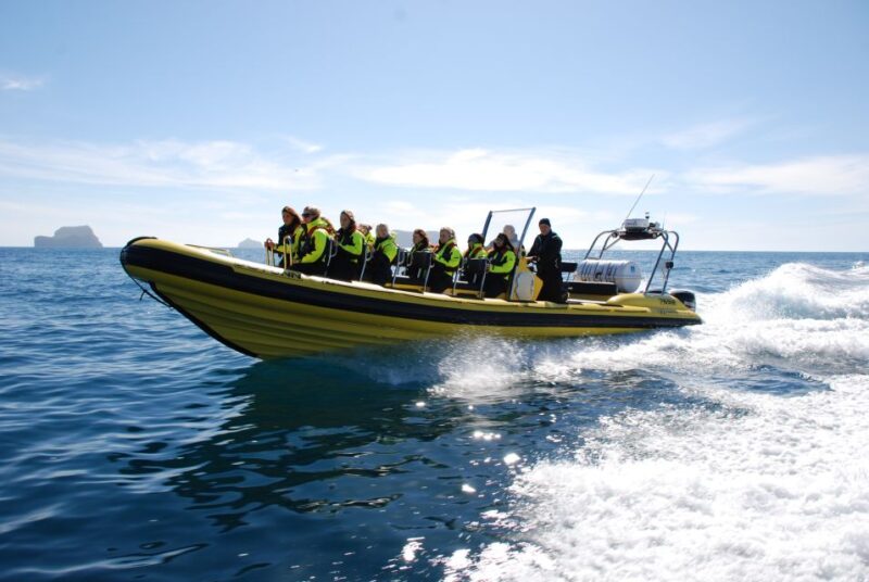 Reykjavik: Whale Watching by RIB Speedboat - Physical Requirements and Accessibility