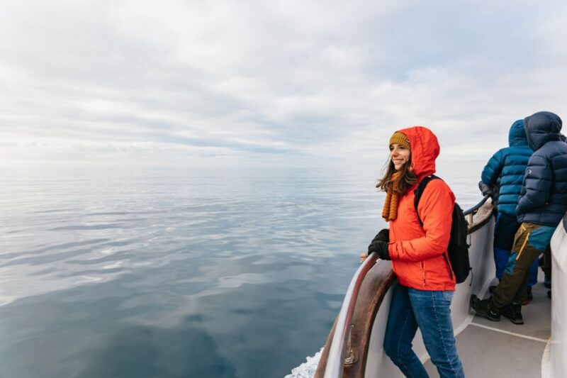 Reykjavík: Whale Watching Cruise on the Amelia Rose Yacht - Timing and Duration Flexibility
