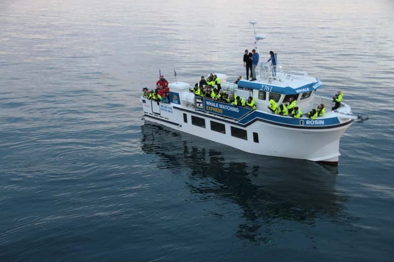 Reykjavik: Whale Watching Express - The Speed and Comfort of the Express Boat