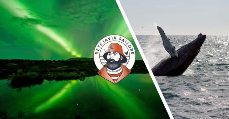 Reykjavik: Whale Watching & Northern Lights Combo Cruise - Reykjavik: Whale Watching & Northern Lights Combo Cruise – An Icelandic Adventure