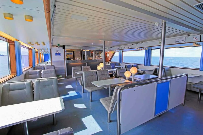 Reykjavik: Whale Watching Tour with Expert Guide - Who Will Enjoy This Tour Most?