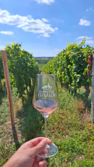 Rheingau: Wine Tour with Tasting - Key Points