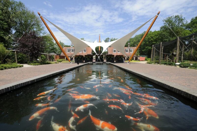 Rhenen: Ouwehands Zoo Entry Ticket - Meet the Only Panda Enclosure in the Netherlands