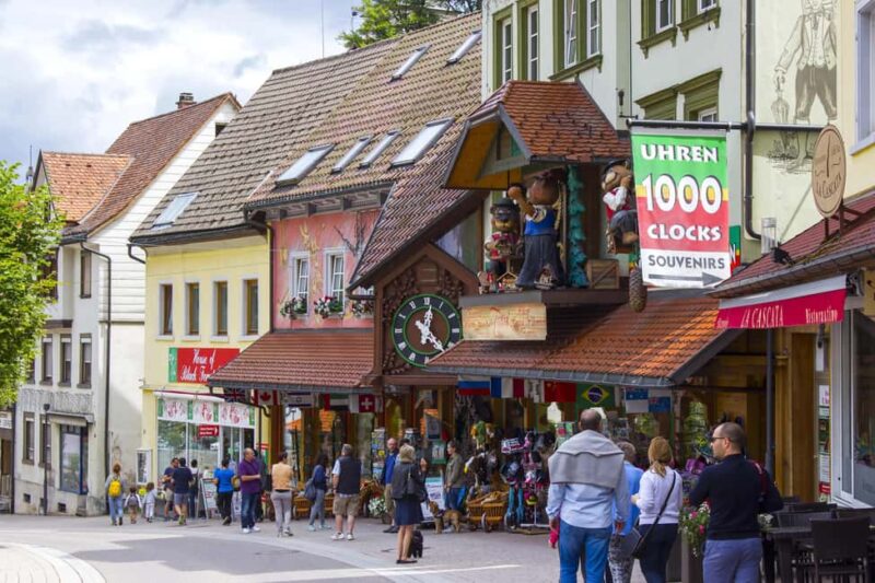 Rhine Falls and Black Forest Private Day Trip - Tour Logistics and Accessibility