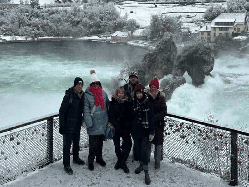 Rhine Falls & Stein am Rhein Private Day Trip - The Tour Experience: Inclusions and Practical Details