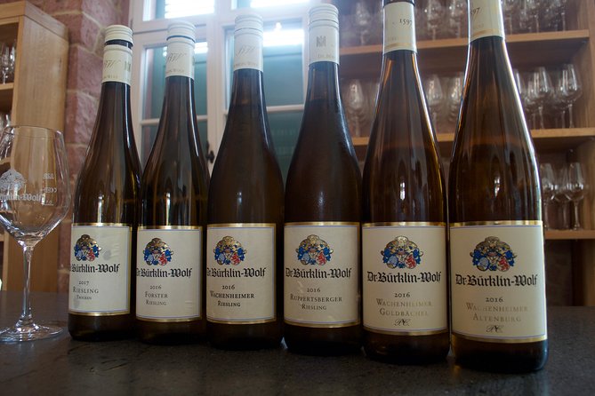 Rhine Valley Wine Tasting Tour from Frankfurt and Mainz - How the Tour Leaves from Frankfurt or Mainz