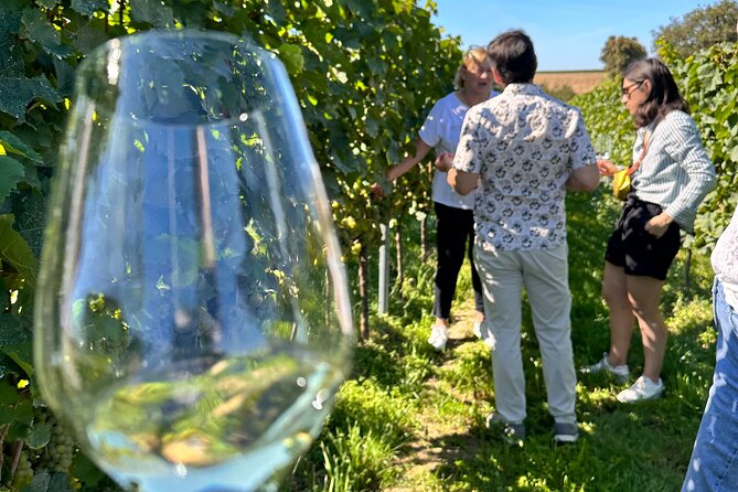 Rhine Valley Wine Tasting Tour from Frankfurt and Mainz - Logistics and Group Size