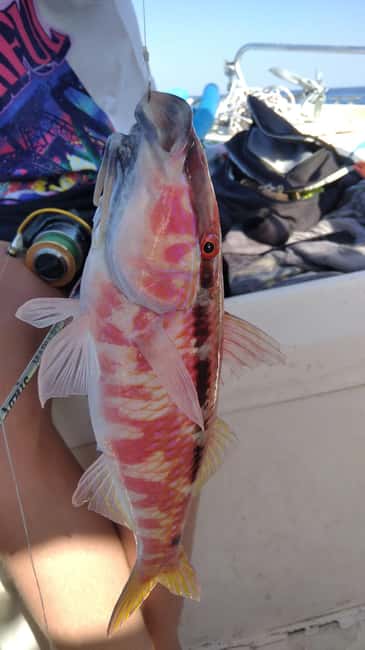 Rhodes: 4 Hour Private Boat Fishing Trip with Equipment - Exploring Rhodes’ Best Hidden Caves and Beaches