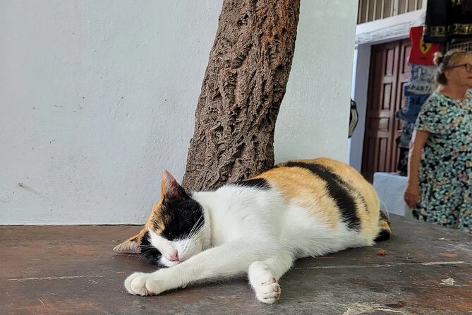 Rhodes Airport: One-way Private Luxury Transfer from Airport - Frequently Asked Questions