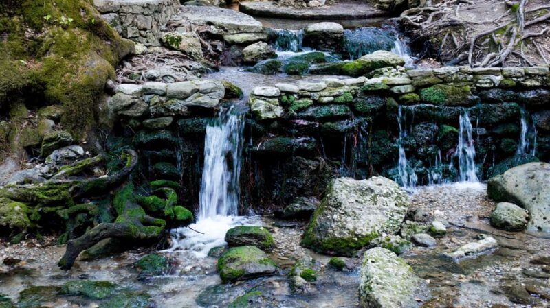 Rhodes: Butterfly Valley & Wine Tasting Tour (Small Group) - Visiting the Rhodes Bee Museum