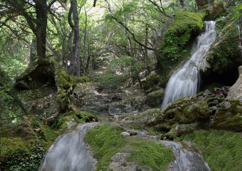 Rhodes: Butterfly Valley & Wine Tasting Tour (Small Group) - Rhodes: Butterfly Valley & Wine Tasting Tour (Small Group)