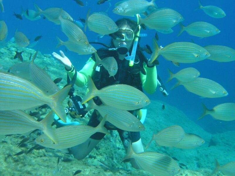 Rhodes: Diving Adventure for Beginners and Experts - The Itinerary: From the Boat to the Underwater World