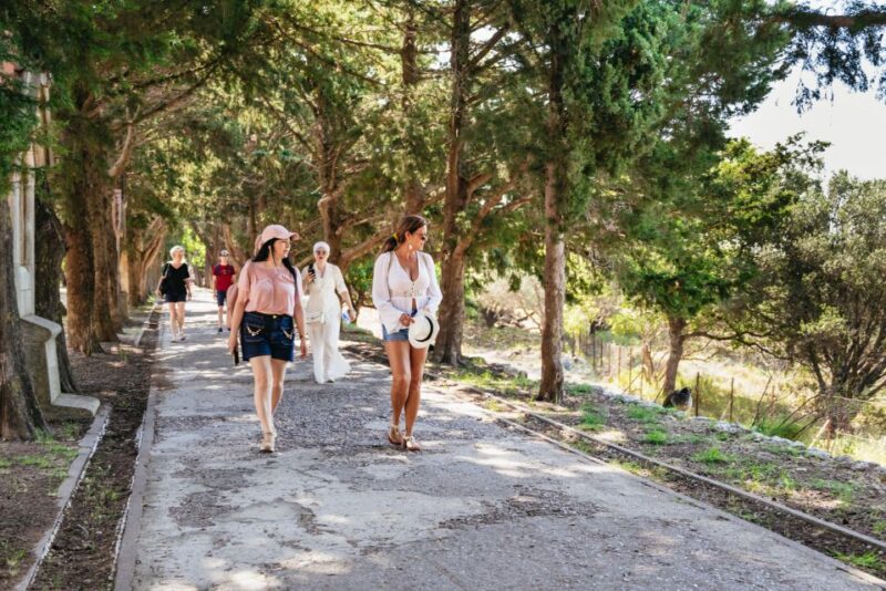 Rhodes: Filerimos Hill and Butterfly Valley Bus Trip - The Return Journey and Drop-Off Points