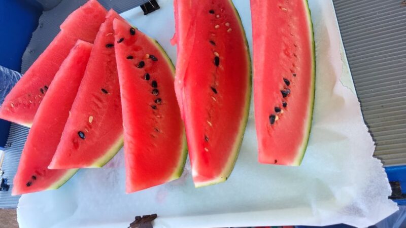 Rhodes: Fishing Trip, Snorkelling, BBQ, & Professional Guide - The Experience of the Guide: Friendly, Knowledgeable, and Engaging