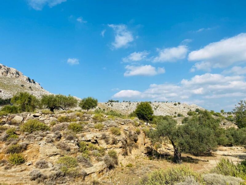 Rhodes: Guided Hike to 7 springs from Archangelos - Walking Through the Woods and Olive Groves