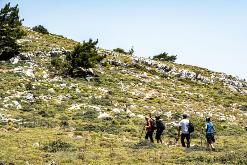 Rhodes: Hiking Tour to the Summit of Akramitis with Photos - Rest Stops, Snacks, and Photo Opportunities