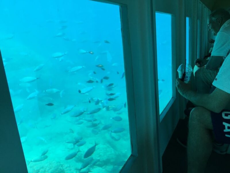 Rhodes: Hop-on Hop-off Bus and Submarine Tour - The Underwater Experience: What to Expect