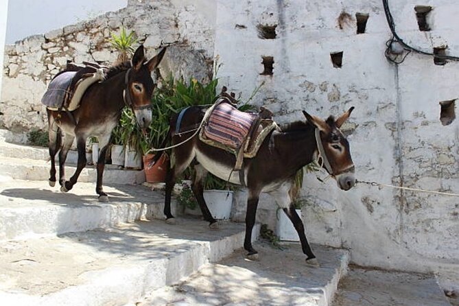 Rhodes, Lindos and Medieval City Guided Tour from Cruise Port - Exploring the Village of Lindos and Its Ancient Acropolis