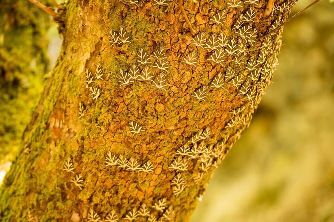 Rhodes & Lindos & Butterfly Valley - Private Half-day Excursion - Discovering the Colossus of Rhodes Statue