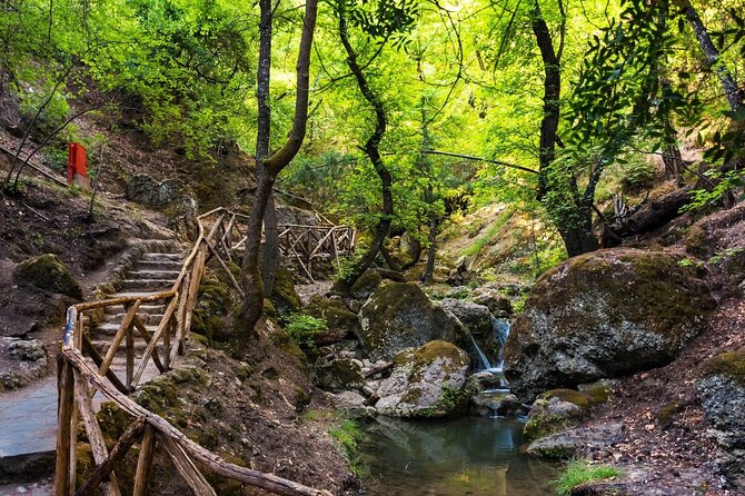 Rhodes & Lindos & Butterfly Valley - Private Half-day Excursion - Butterfly Valley or Filerimos Hill in Summer