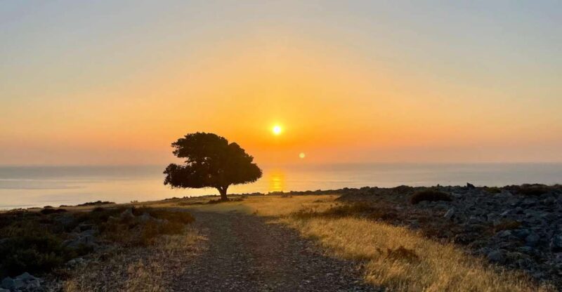 Rhodes: Pefkos-Navarone Bay, the magic of sunrise - Walking Along the Promontory and Into the Pine Grove