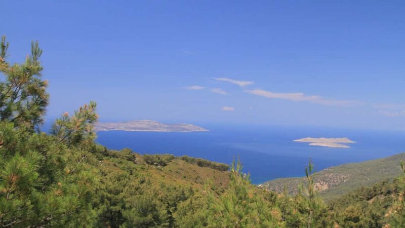 Rhodes: Safari with experienced driver - South pick ups - Key Points