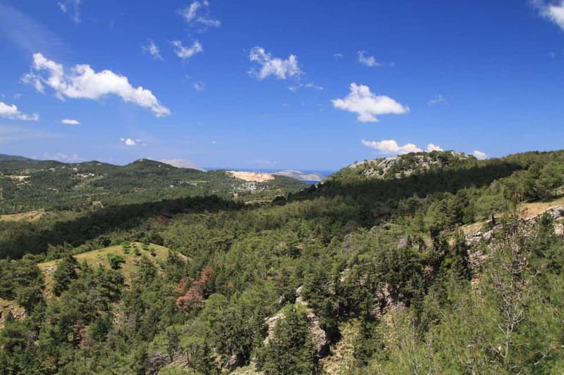 Rhodes: Safari with our driver - North - Pick ups East Coast - The Benefits of a Small Group Experience