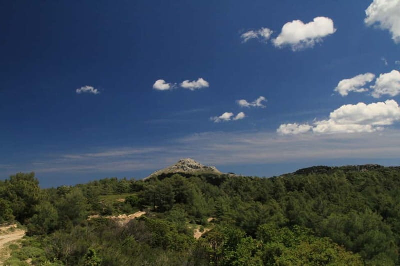 Rhodes: Safari with our driver - North - Pick ups East Coast - Accessibility and Suitability