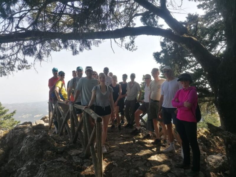 Rhodes: Salakos to Profitis Ilias 4 hours Guided Hike - The Vegetation and Forest Environment