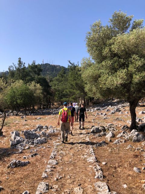 Rhodes: Salakos to Profitis Ilias 4 hours Guided Hike - Practical Details: Meeting Point and Group Size