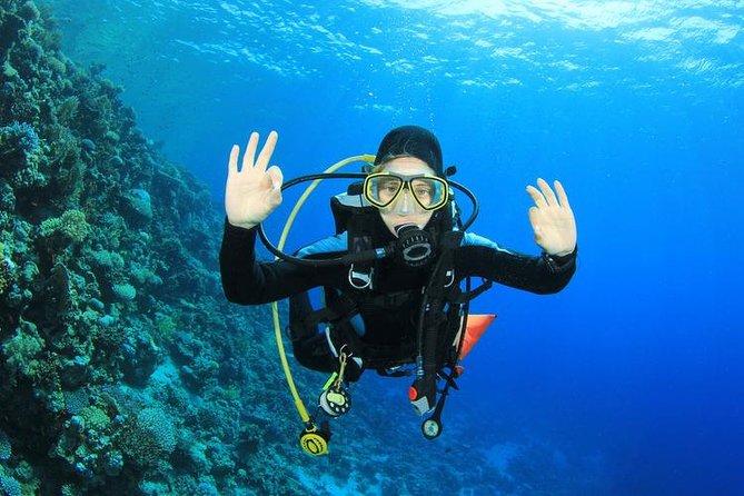 Rhodes Scuba Diving Experience - Summary: Is the Rhodes Scuba Diving Experience Worth It?