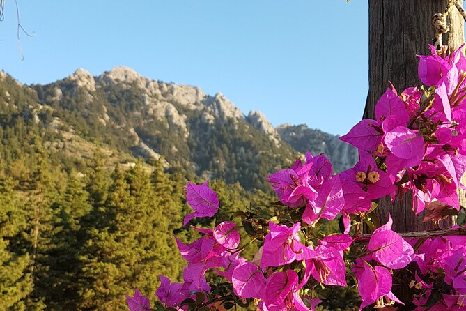 Rhodes Self Drive 4x4 Offroad Adventure with Gourmet Lunch - Driving Through Profitis Ilias and Visiting the Medieval Church