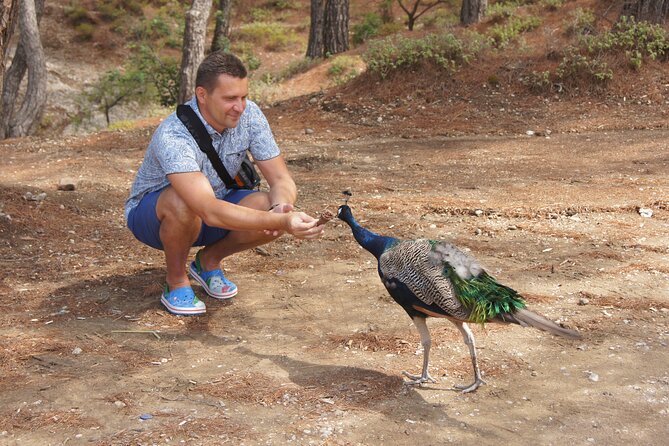 Rhodes Self Drive 4x4 Wilderness Expedition & Traditional Lunch - Indulge in a Traditional Greek Lunch in Archipoli