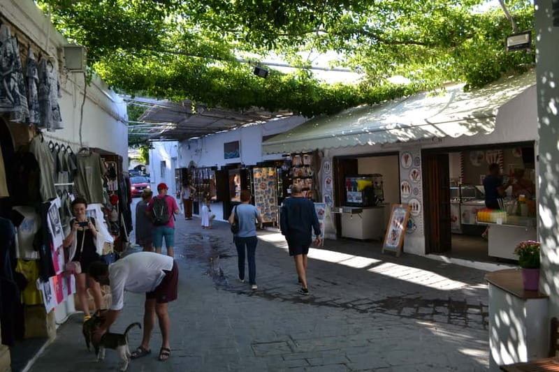 Rhodes: Small Group to Lindos with 4-Hours of Free Time - Reliable Service Back and Forth