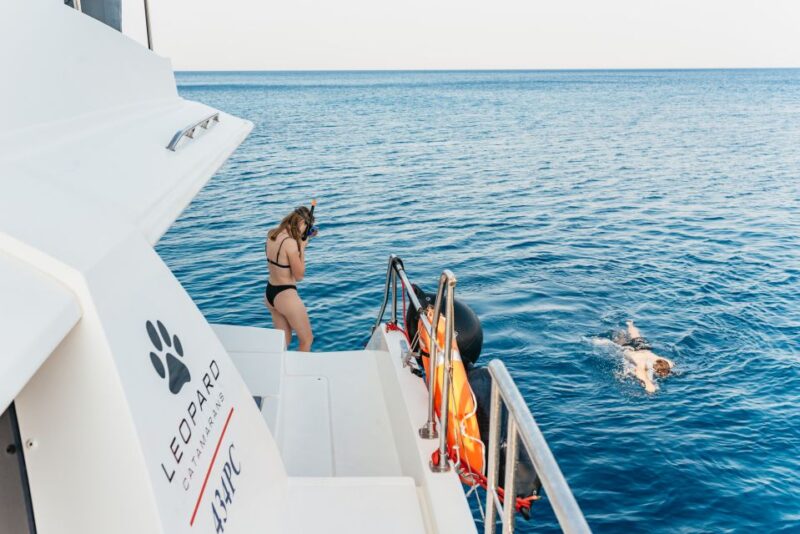 Rhodes: Sunset Catamaran Cruise with Dinner Buffet & Drinks - Watching the Sunset from the Sea