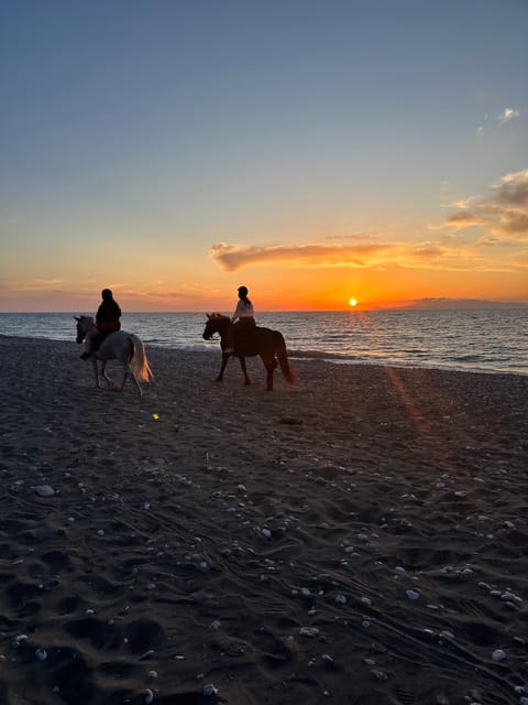 Rhodes: Sunset Horseback Riding Experience by the Sea - Key Points