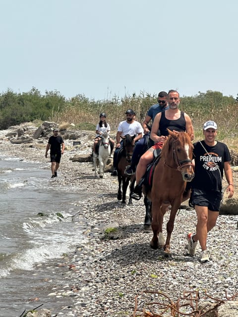 Rhodes: Sunset Horseback Riding Experience by the Sea - Who Should Book This Tour?