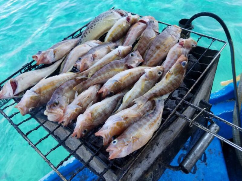 Rhodes Town: Fishing Boat Trip with Fish Meal and Swim Stops - The Delicious Fish Barbecue on Board