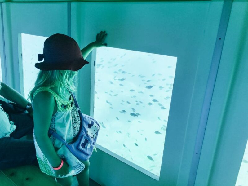 Rhodes Town: Submarine Cruise with Underwater Views - Marine Life Viewing and Underwater Windows