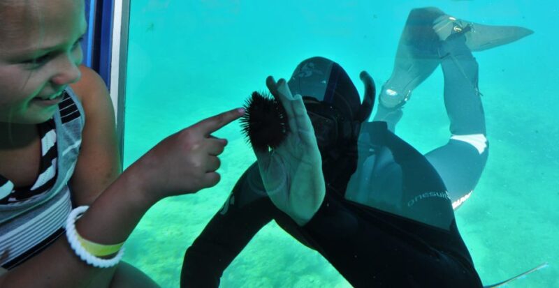 Rhodes Town: Yellow Submarine Cruise with Underwater Views - Explore Rhodes from a Unique Perspective with the Yellow Submarine Tour