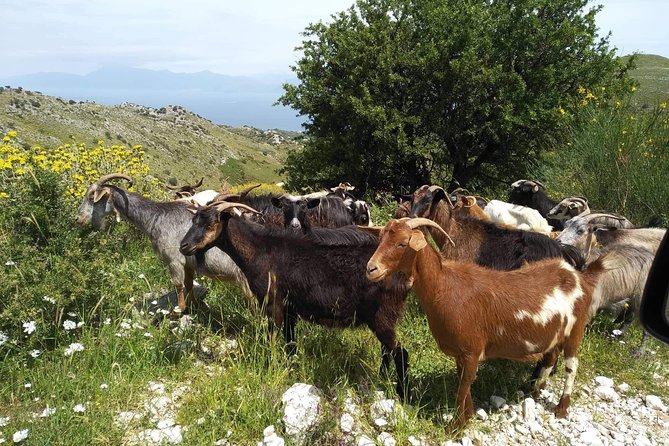 Rhodes Uncharted South Safari: Mountains, Monasteries, & Flavors - Visiting the Saint John Theologos Monastery