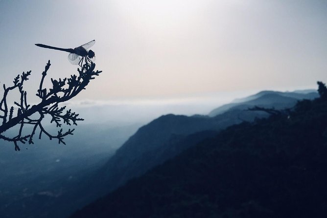 Rhodes Uncharted South Safari: Mountains, Monasteries, & Flavors - Exploring Monolithos and Its Scenic Charm